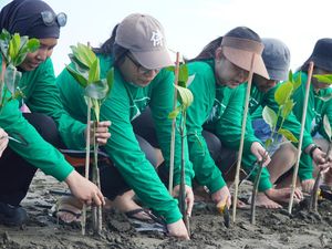 Rehabilitasi Pesisir Dimulai dengan Penanaman Mangrove