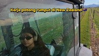 Viral Kisah Wanita Bogor Bergelar Sarjana Kerja Potong Rumput di New Zealand