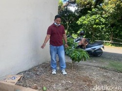 Video: Bayi Dalam Kardus Ditemukan di Makassar, Ortu Tinggalkan Popok-Susu