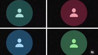 Viral Arti Warna Contact WhatsApp, Hijau Tak Save Nomor Kamu?