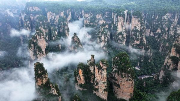 Hutan Batu Zhangjiajie, Hadirkan Panorama Bak Negeri di Atas Awan