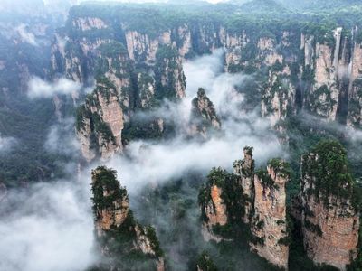 Hutan Batu Zhangjiajie, Hadirkan Panorama Bak Negeri di Atas Awan