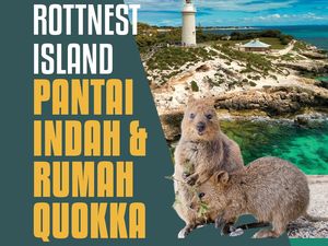 Rottnest Island, Rumah Quokka, Punya Pantai dan Mercusuar Ikonik di Australia Barat