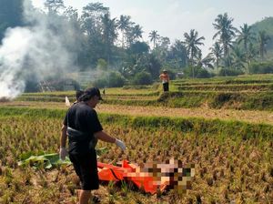 Geger! Jasad Mr X Ditemukan di Tengah Sawah Garut