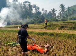 Geger! Jasad Mr X Ditemukan di Tengah Sawah Garut