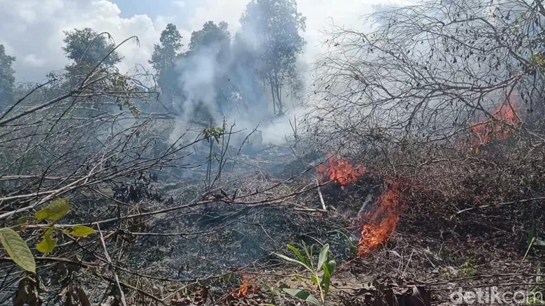 Angka Hotspot Turun, Pemprov Kalteng Ingatkan Karhutla Belum Berakhir