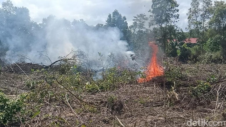 Polda Kalteng Selidiki 51 Kasus Karhutla, 4 di Antaranya Korporasi