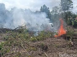 Polda Kalteng Selidiki 51 Kasus Karhutla, 4 di Antaranya Korporasi