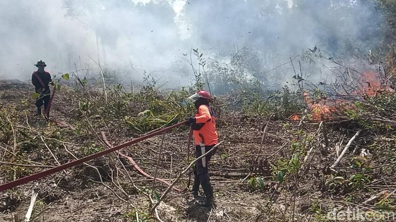 Anggaran Rp 50 Miliar Disiapkan untuk Karhutla Kalteng, Begini Alokasinya