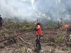Karhutla Lagi di Kobar, Asap Tebal Sempat Kepung Jl Ahmad Yani Km 10
