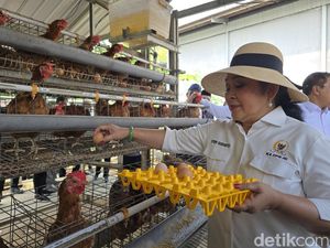 Momen Titiek Soeharto Panen Telur Ayam di Peternakan Lapas Terbuka Nusakambangan