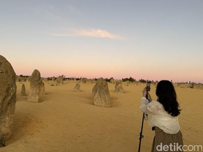 Menjelajahi The Pinnacles, Lanskap Alien di Australia Barat