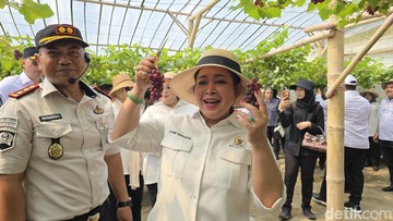 Titiek Soeharto Icip Anggur Rawatan Napi Nusakambangan: Enak, Manis