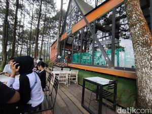 City Light dan Hutan Pinus, Sensasi Ngopi di Kaki Gunung Ciremai