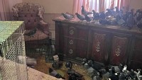 Penampakan Rumah Viral yang Dipenuhi Ratusan Hewan Ini Kondisinya Mengenaskan