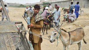 Tradisi Perdagangan Keledai Warnai Hiruk Pikuk Kota Karachi