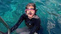 Momen Aura Kasih Freedive: Cari Lumba-lumba hingga Dikerumuni Ikan
