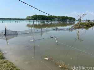 Bupati Pati Ungkap Pemicu Sebulan Rob di Tunggulsari Belum Surut