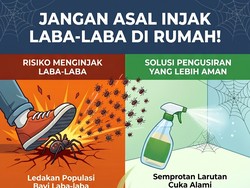 Infografis: Jangan Asal Injak Laba-laba di Rumah, Bisa Bikin Masalah Makin Besar