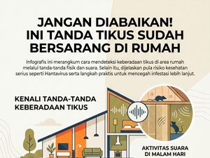 Jangan Diabaikan! Ini Tanda Tikus Sudah Bersarang di Rumah