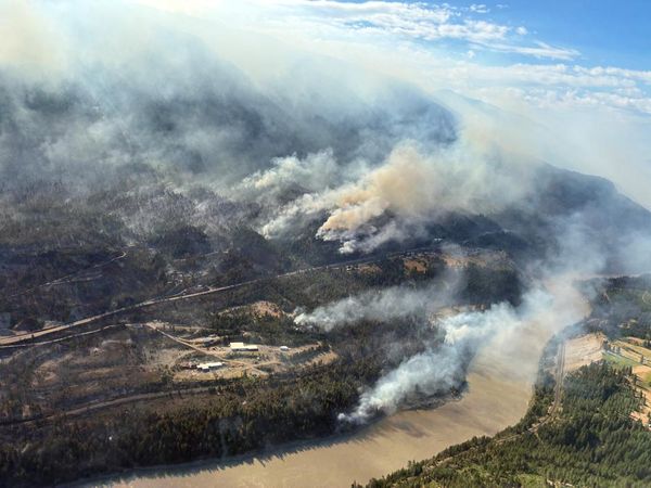 Kebakaran Hutan di Kanada Meluas, Warga Dievakuasi