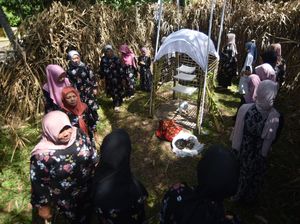 Maatam, Ritual Sarat Makna dalam Tradisi Tabuik