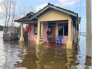 Sebulan Banjir Rob Rendam Permukiman, Warga Tunggulsari Pati Gatal-gatal