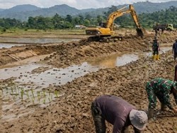 Satgas PRR Dorong Akselerasi Pemulihan Sektor Pertanian di Sumatera