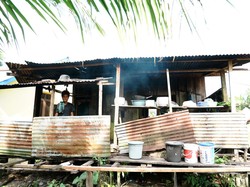 22.379 Unit Rumah di Papua Raya Dibedah, Target Rampung Agustus 2026