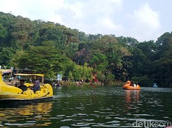 Langka! Air Situ Cipanten Majalengka Berubah Warna di Musim Kemarau