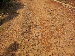 Jalan Rusak Berujung Petisi Darah, Pemprov Desak Pemkab Pandeglang Bergerak