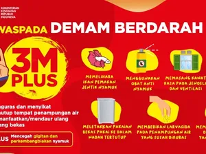 Waspada DBD! Kenali 3M Plus, Cara Tepat Pencegahan dari Rumah