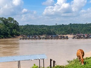 Tambang Emas Ilegal Menggila di Tebo, 300 Alat Rakit Beroperasi