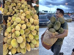 Pasokan Durian Melimpah di Malaysia, Termurah Dijual Rp 8 Ribuan per Buah