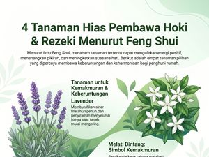 Infografis: 4 Tanaman Hias yang Bisa Menarik Hoki ke Rumah Menurut Feng Shui