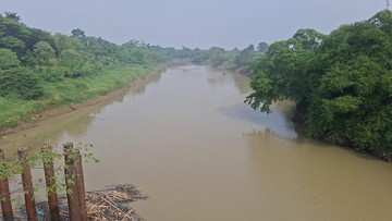 Sungai Ciujung Diduga Tercemar, Dinas LH Serang Bakal Panggil Industri