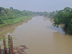 Sungai Ciujung Diduga Tercemar, Dinas LH Serang Bakal Panggil Industri