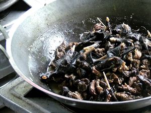 Paniki Khas Sulawesi Utara Masuk Daftar 24 Makanan Terburuk di Dunia 2026