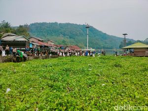 Waduk Jangari Kembali Bernapas, Puluhan Ton Eceng Gondok Disingkirkan