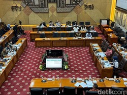 Anggota DPR Usul Regulasi Nasional Larang Perdagangan Daging Anjing-Kucing