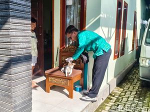 50 HPR Divaksin Darurat Buntut Anjing Rabies Gigit Warga di Jembrana