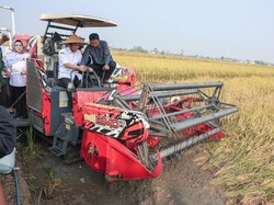 Ahmad Luthfi Sebut Produksi Padi Jawa Tengah Tembus 6,69 Juta Ton