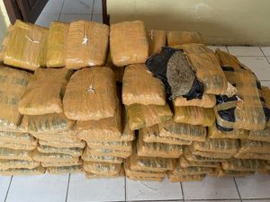 Video: Pengiriman 112 Kg Ganja ke Medan Terungkap Usai Kecelakaan di Tapanuli