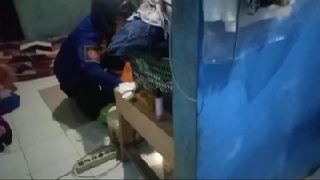 Malam-malam Ular Kobra Masuk ke Kamar, Warga Bogor Panggil Damkar
