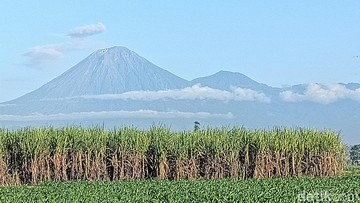 Gunung Semeru Erupsi 3 Kali Pagi Ini, Tinggi Letusan Capai 900 Meter