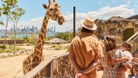 Ini Rencana 8 Hari Berlibur bersama Keluarga di Sydney & New South Wales