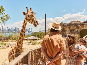 Ini Rencana 8 Hari Berlibur bersama Keluarga di Sydney & New South Wales