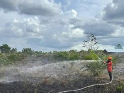 4 Hektare Lahan Gambut di Kotim Terbakar, 1 Rumah Terdampak