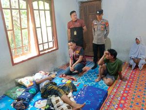 Petani di Sumsel Terluka Usai Diserang Beruang saat Berkebun