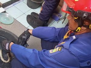 Hendak Mandi, Tati Malah Papasan dengan Ular Sanca di Toilet